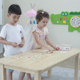 VIGA-Educational-Game-Wooden-Puzzle-Match-Shapes-37-pcs-3