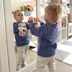 WOOPIE-BABY-Spinner-Sensory-Toy-Bee-Chicken-Rabbit-Interchangeable-3-pcs-3