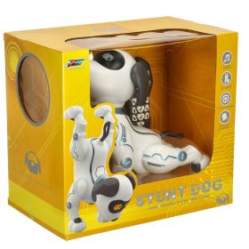 Interaktyvus-suns-nuotolinio-valdymo-RC-robotas-sokineja-dainuoja-1