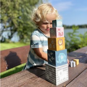 VIGA-PolarB-Pyramid-Educational-Puzzle-Cube-Sorter-Blocks-1